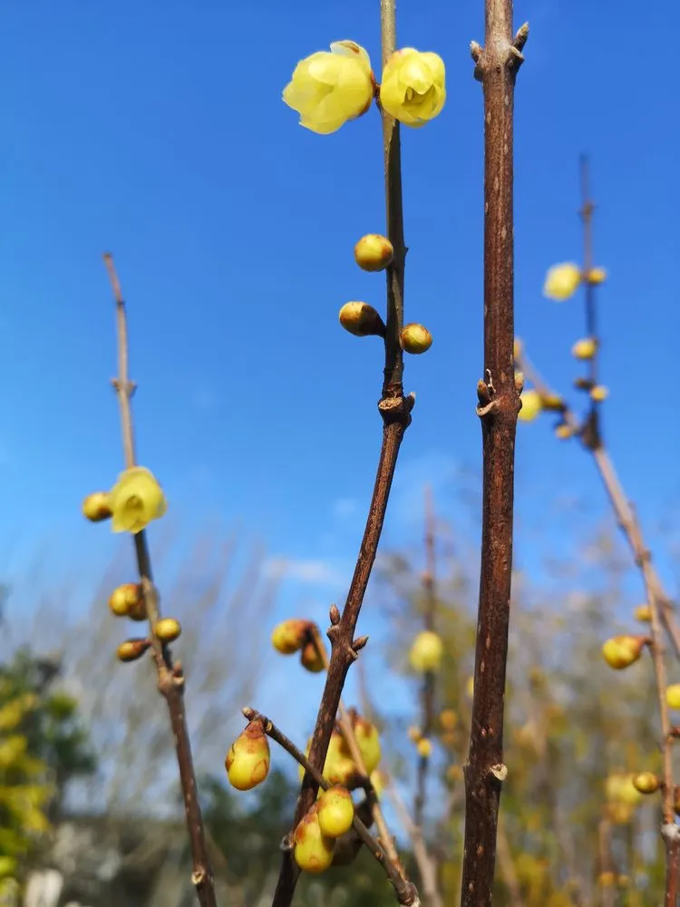 顶楼闲置138㎡露台变废为宝，3年时间变身空中小花园，不想出门了