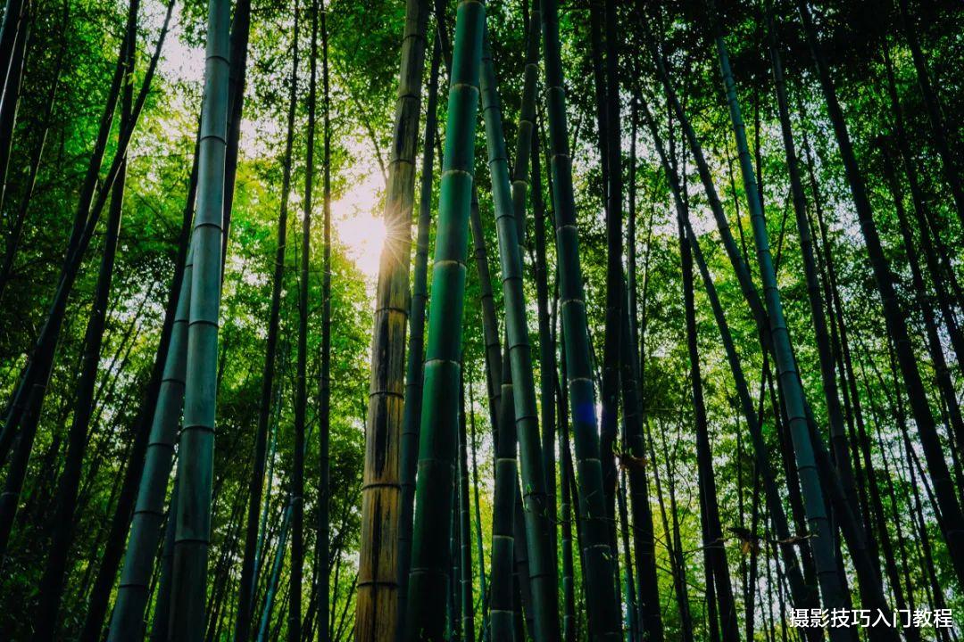 镜头|拍照技巧:好看的星芒是怎么拍出来的?