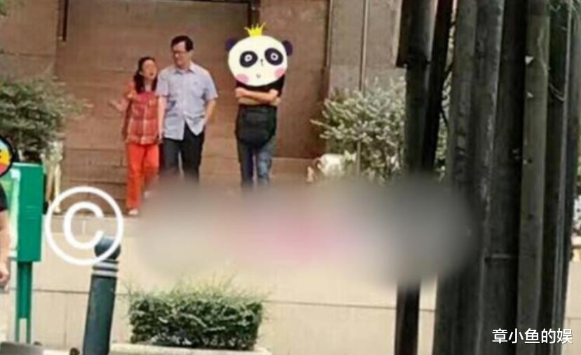 郑爽|卓伟曾曝光文章与姚笛，这次却选择力挺郑爽，这才是背后实情