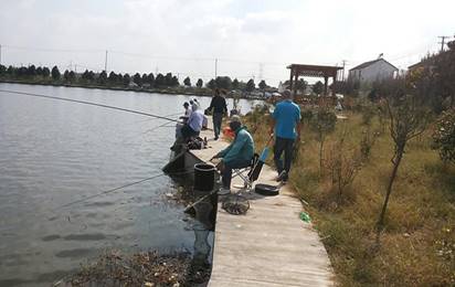 |关于黑坑的这些秘密你知道多少，禁止活饵钓鱼，确实事出有因