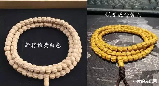 文玩|这些树籽下树了，文玩人两眼放光，不看看？