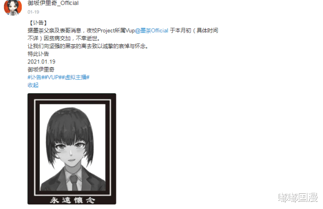 嘟嘟国漫 那个至死不愿卖惨博关注的B站UP主墨茶，回到美好的二次元去了