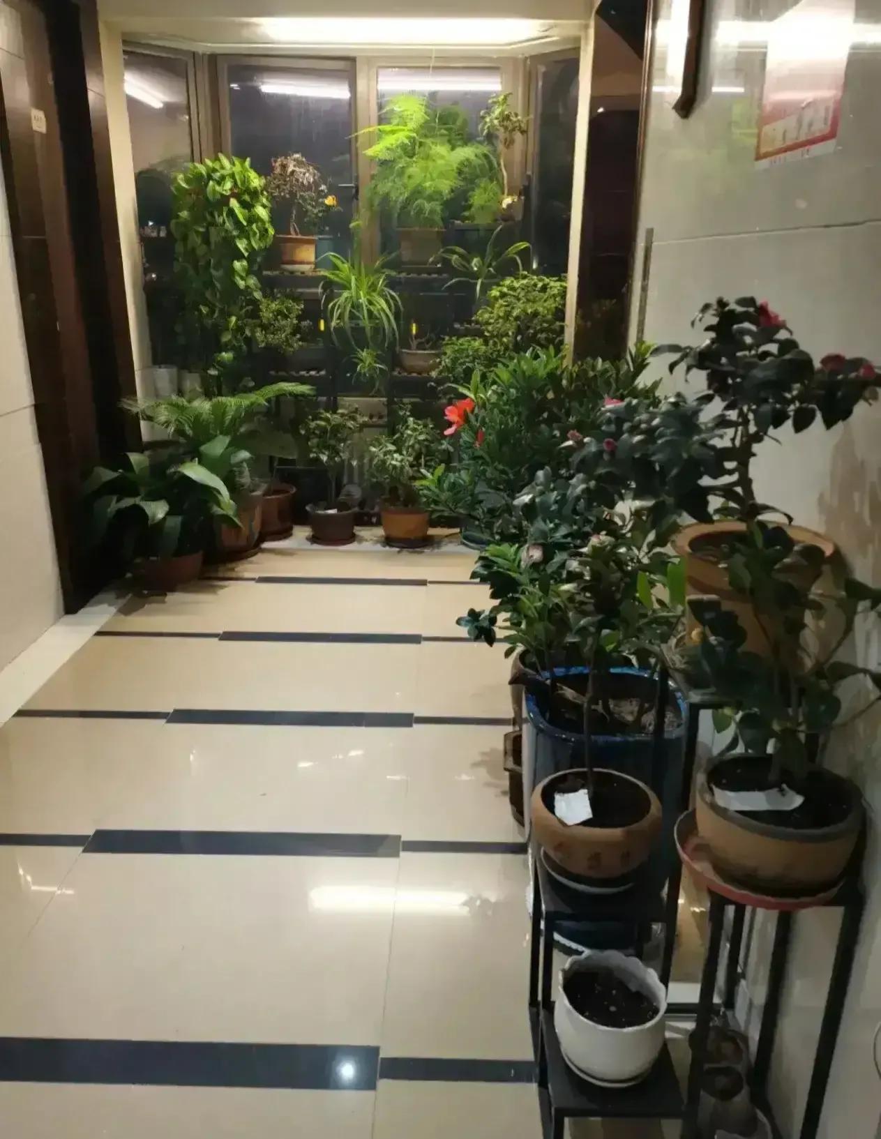 邻居占用走廊养花,影响到出行还有安全隐患,该怎么办?