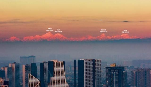 奶豆说育儿|好稀奇!成都春熙路树上长灵芝 成都的生态环境,到底有多好?