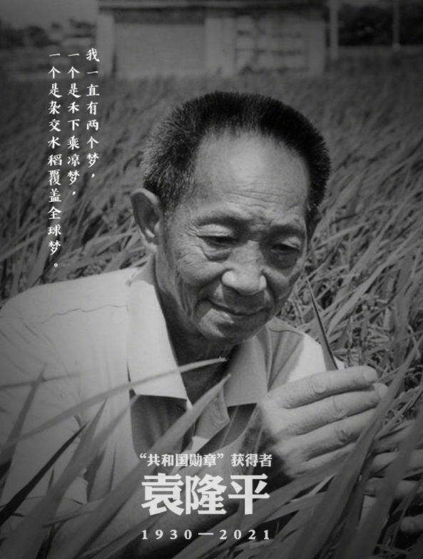 王一博|痛心！袁隆平院士因病去世享年91岁，刘涛王一博余文乐等两岸三地明星齐悼念