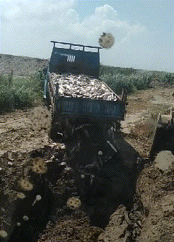 风云视角|搞笑GIF: 得妻如此 夫复何求