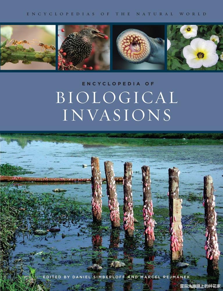 重庆 洱海的“血殇”:福寿螺已呈泛滥态势,为什么会弄成一地鸡毛?