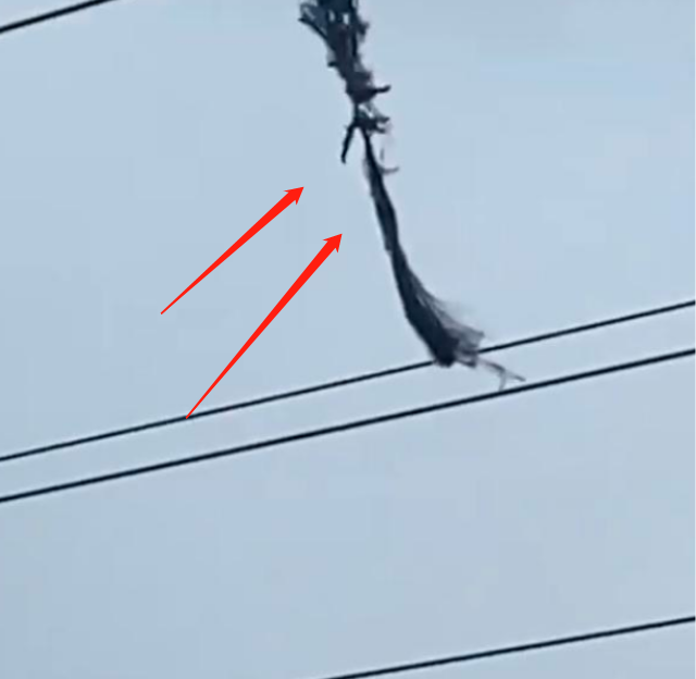 域虎|男子在湖边钓鱼，甩鱼竿勾到高压线，人立马变漆黑躺地不起