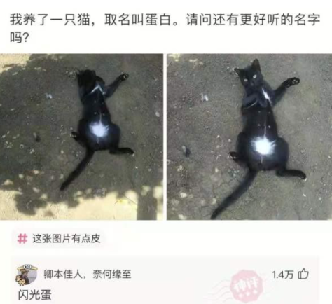 迷信还是讲究,亲戚送了一个这样的枕头,母亲看见马上扔掉了