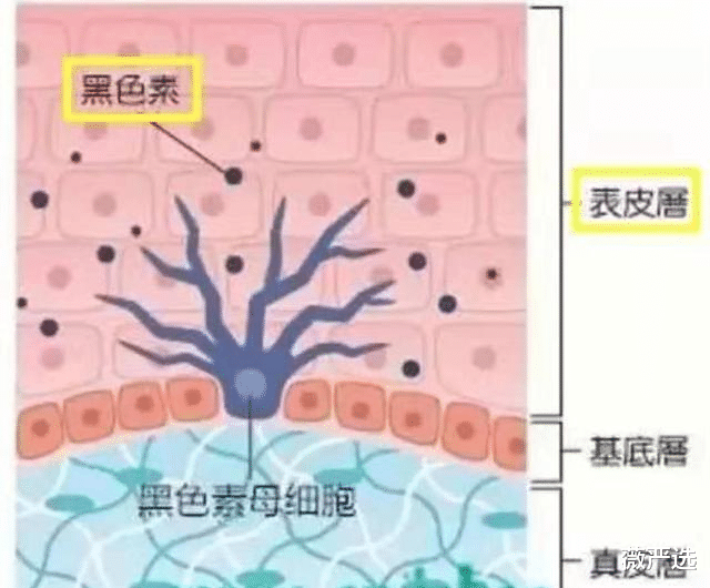 黑色素|泰国女子连续打了6年“美白针”，如今的变化，网友直呼不可思议