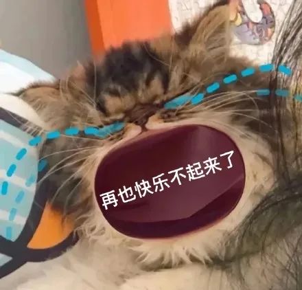 购房置业|3万存款，贫民窟女孩强行上车了！
