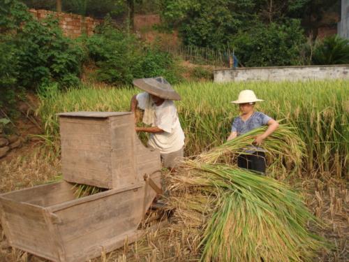 移民 30年前，科学家将4男4女关在一起，进行了一项奇怪的实验！