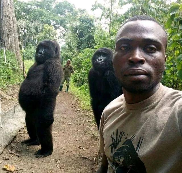 黄瓜|每日一笑：老板给的招聘待遇一般，总是跟我吐槽招人难