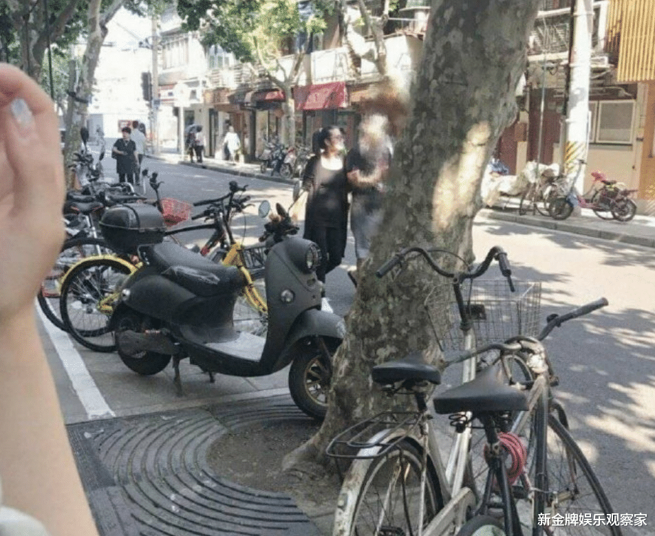 张碧晨|张雨绮代孕合同曝光？前经纪人曝哺乳细节，为何还有人不信？