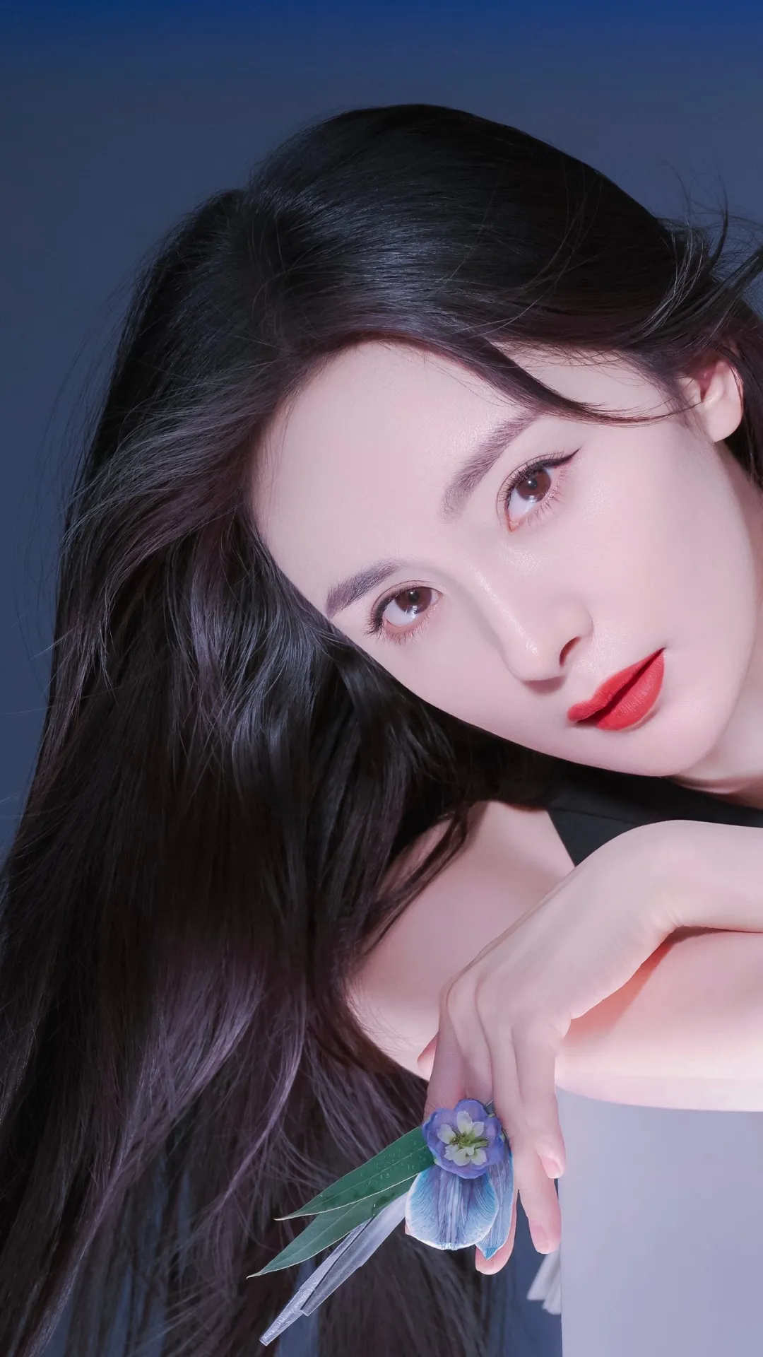 杨幂|明星壁纸杨幂壁纸