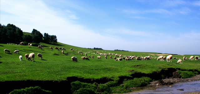 内蒙古 内蒙古一景区被爆“宰客”,管理混乱,过度收费