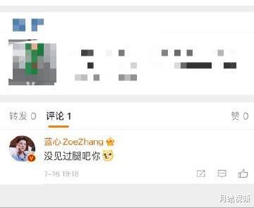 贾静雯|张蓝心对不满评价，怒怼硬杠：你没见过腿吧你