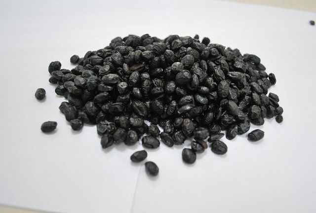 深度养生知识|走近中药：认识一下淡豆豉，不仅仅是一种菜食，还能疏风解表除烦