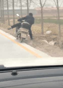 动物庄园|甲方这个要求提得是不错，只是这预算过分了啊