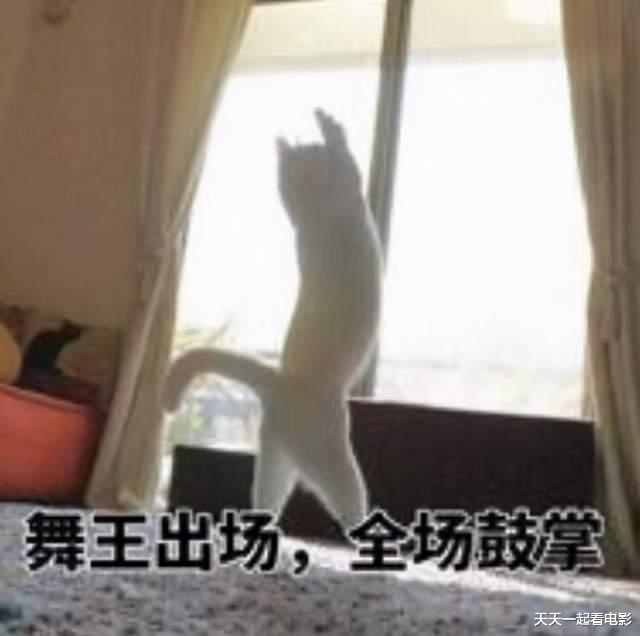 谢霆锋|蜘蛛侠让荷兰弟很高兴，梅姨却郁闷了，因角色太成功女神形象没了