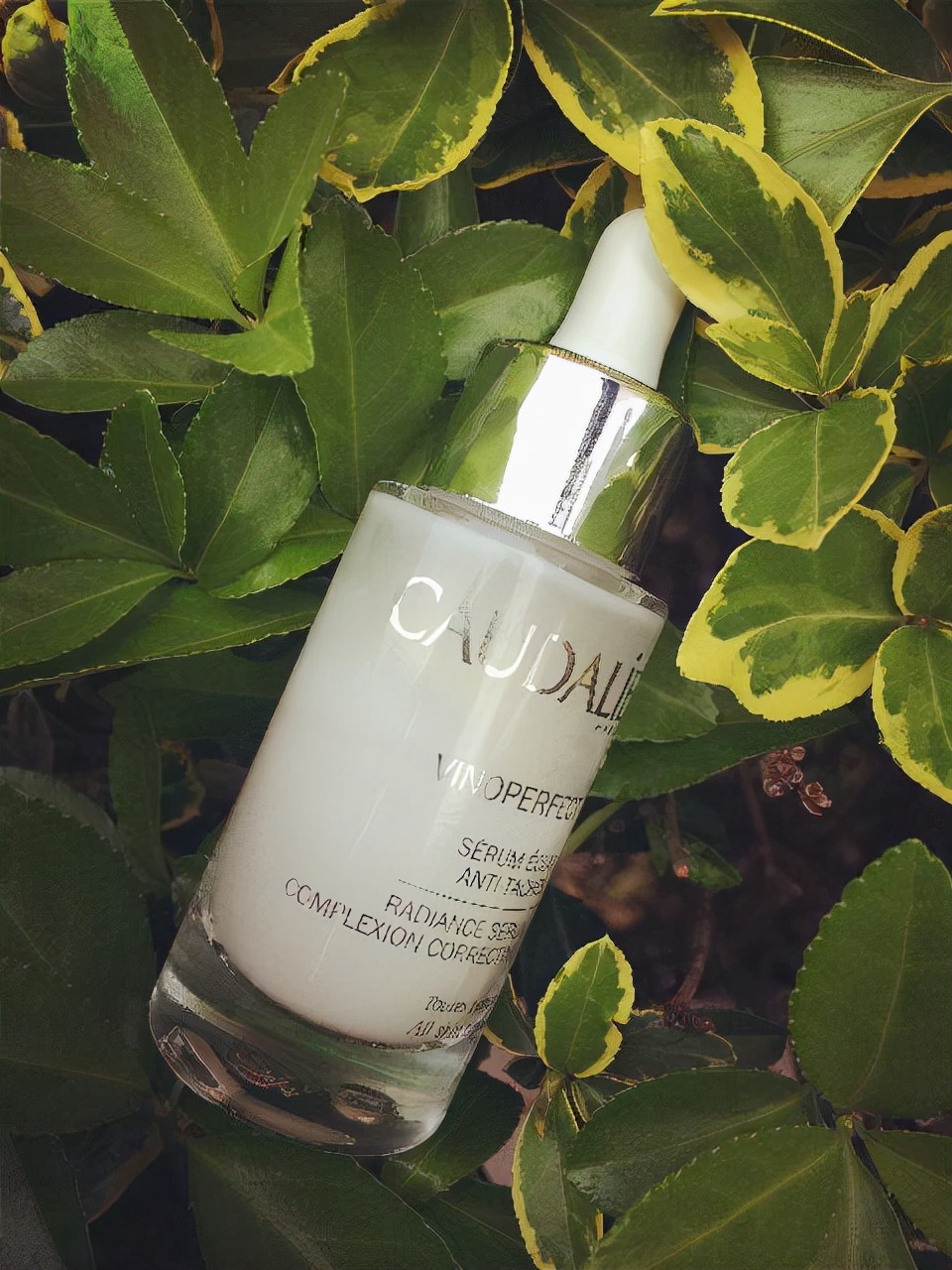 |能让肌肤变得白嫩细腻的精华安利，这几款精华液，你会爱上吗？