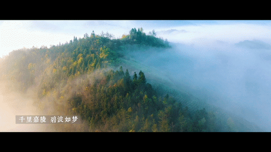 南充特色街访新 南充2天签约300亿大单子——