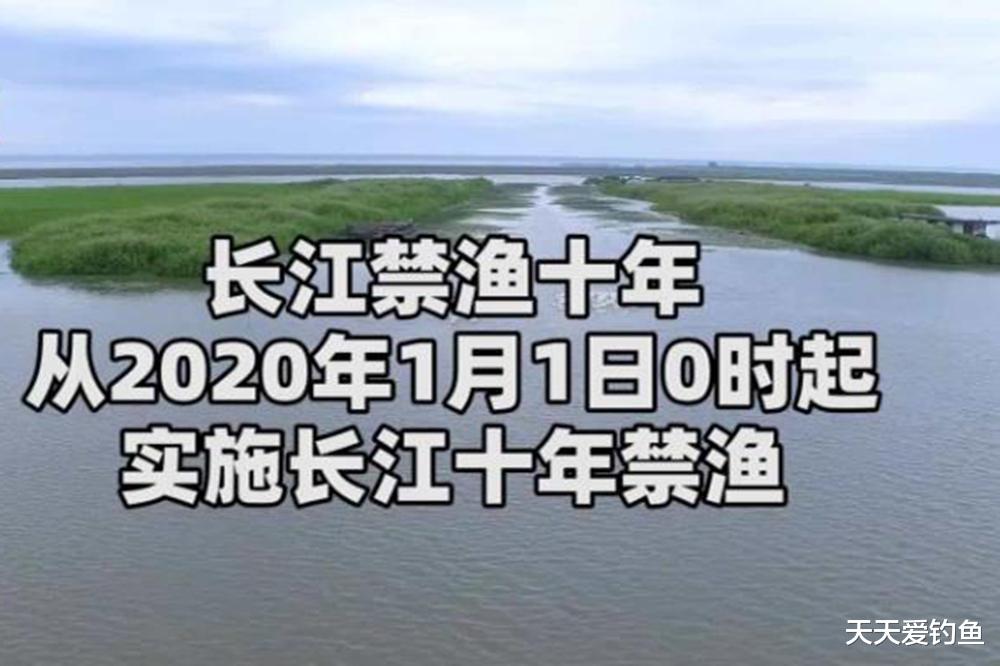 钓鱼|禁渔、限钓两周年，各位钓鱼人感受如何？还有鱼可钓吗？