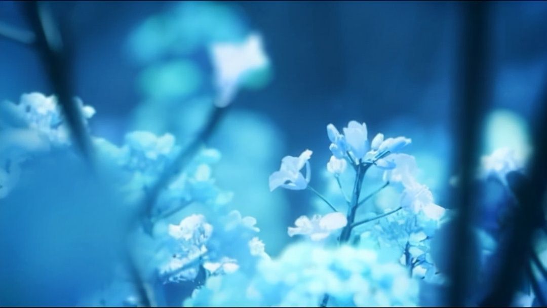 海贼王|《魔法使之夜》剧场版动画公布 原作人物苍崎青子登场