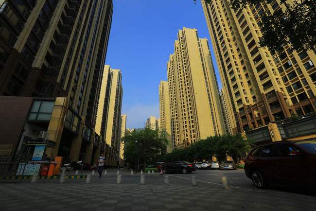 楼梯房可以选择低层，为何不建议电梯房选低层？因为有三大弊端！