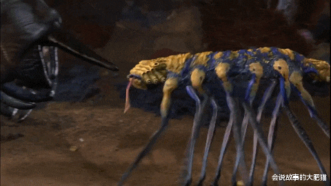 进化危机 《进化危机》史前生物图鉴 巨型食肉树吞食五彩斑斓的怪诞虫
