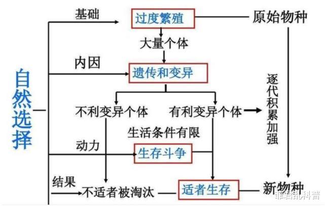 太空 为什么上过太空的种子,结出来的果实都会大一圈?