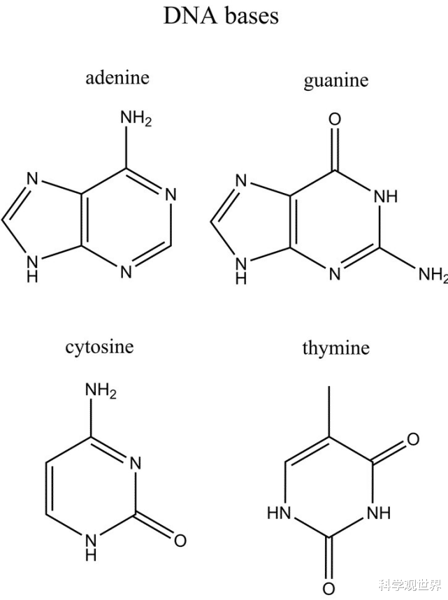 小行星 人在火化时身体会经历什么，烧完之后人体的基因还存在吗？