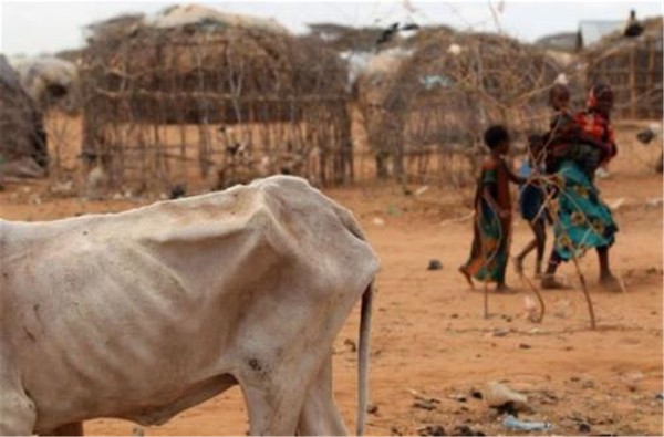 科普虫洞 这种可怕的病毒,致死率比新冠高10倍,如今或卷土重来!