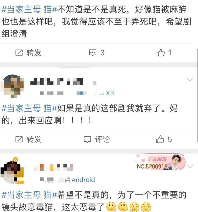 蔡徐坤|《当家主母》毒死猫惹争议？网友质疑假戏真做，于正评论区被沦陷