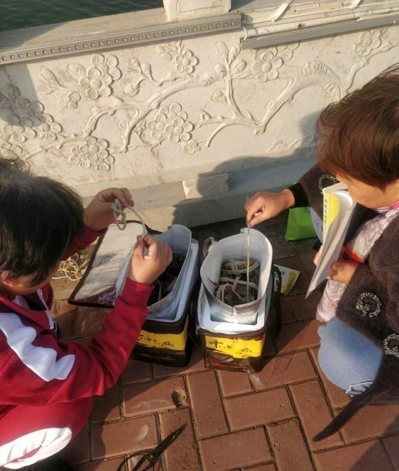 徐晓峰|江苏钓友河边钓鱼,忽然来了几波人放生大闸蟹,钓友:我钓了几只