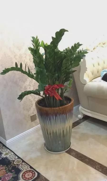 |跑偏的欧式装修，邻居竟说我家可以当样板间了