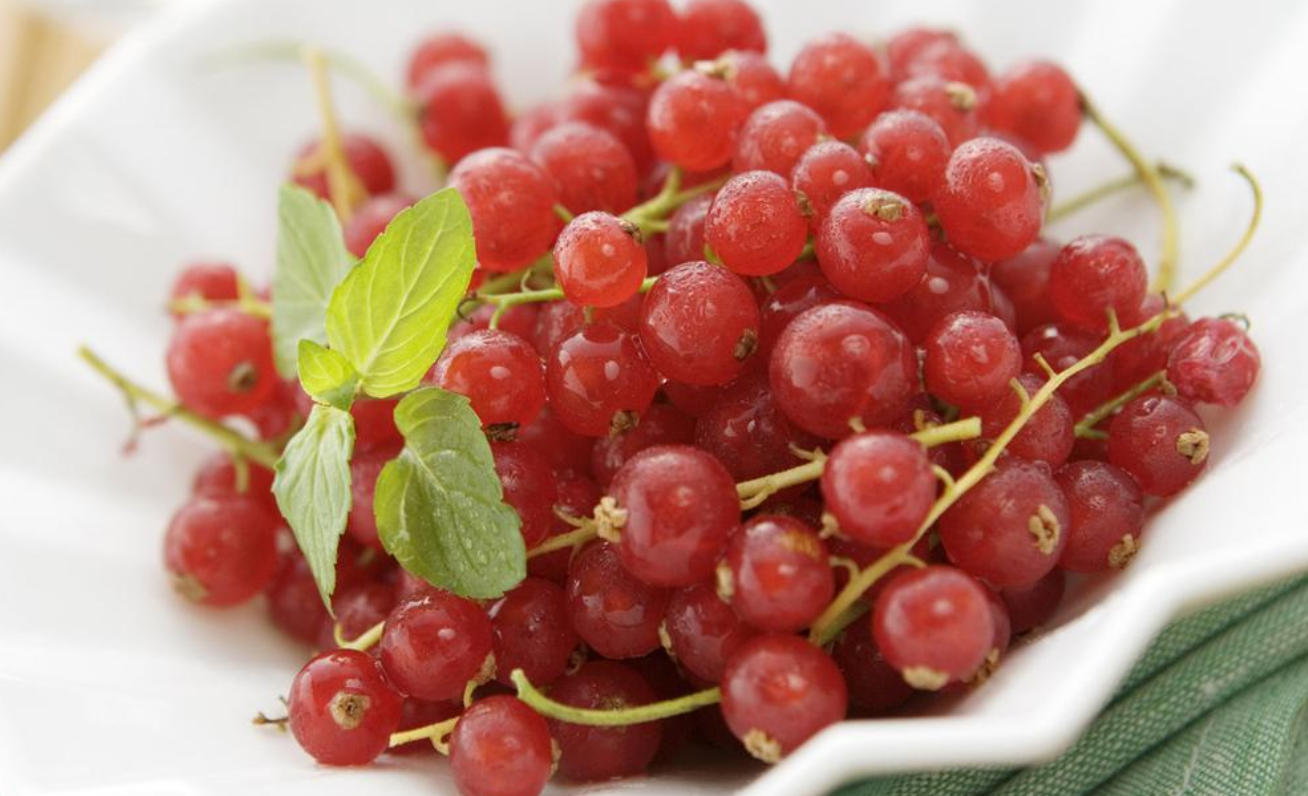 灵语塔罗|灵语塔罗：天秤座未来一周情感运势，不要沉迷想象，去享受现实