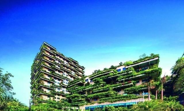 碧桂园|打工族牛人陈翀，娶到碧桂园董事长杨惠妍，从打工仔一跃成为董事