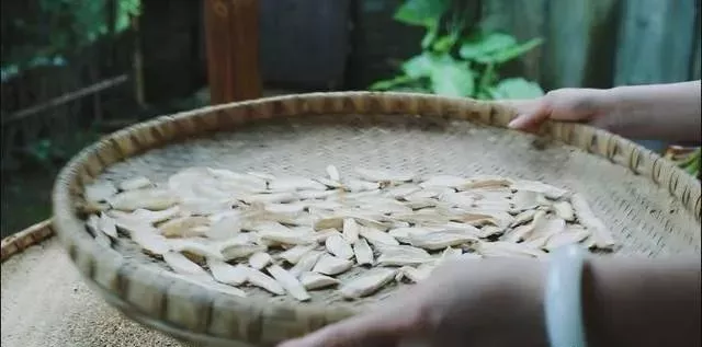 山药|千金不换的中医方，排湿气健脾提神