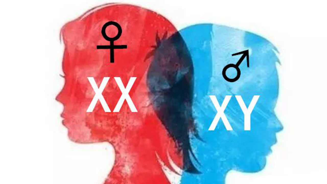 染色体 人类的性别只有男女之分？并不止2种，实际情况刷新你的认知