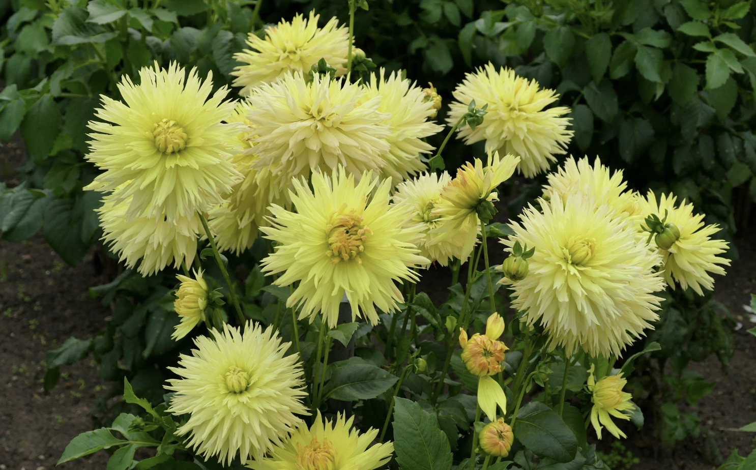 运势|11月，人逢喜事，运势如虹，3大生肖有钱又有爱，职场情场双丰收