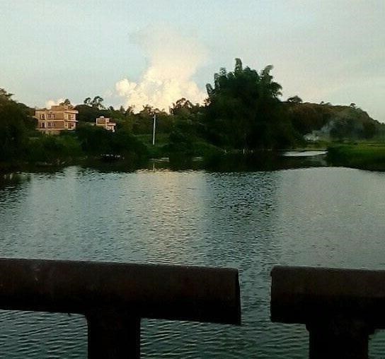 黄骨鱼|放假回老家钓上水中“霸主”，父亲见后说我这是“为民除害”