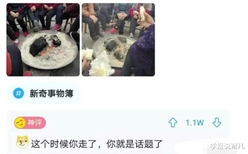 学姐说育儿|“曾经的首富已变得一无所有,只剩下北京264套房子”