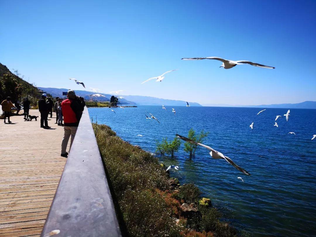 重庆 云南最大高原湖泊，相当于12个滇池被称为“琉璃万顷”，你知道在哪吗？