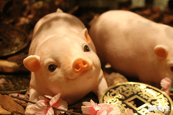 瞬间快乐|7月15日-7月21日,属猴、属羊、属猪运势攻略,厚积薄发,鲤跃龙门