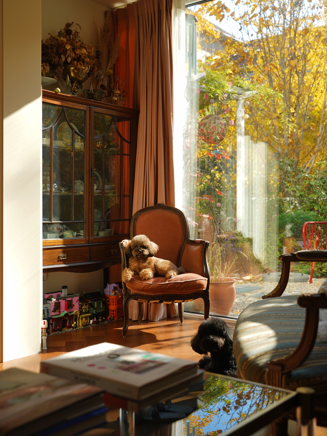 买这房子，就是看上这个40㎡的院子，改造后美得像一幅四季风景画