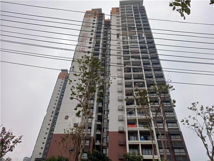 龙岗|实探南宁龙岗西：14个楼盘实景+道路建设，颠覆你的想象！