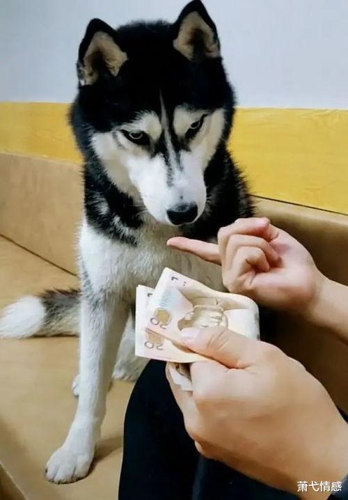 萧弋情感|男人这样也太不卫生了吧，看完你有没有觉得恶心反胃