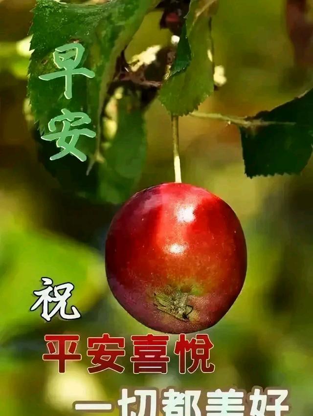 乐乐情感说 生活是用来经营的，而不是用来计较的，早安
