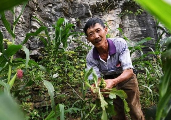 肝脏|一口等于吃了5个塑料袋！医生提醒：1种常见食物，别再贪吃了
